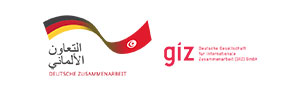 logo-gtz
